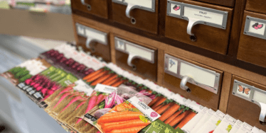 photo of card catalog that serves as seed library with seed packets